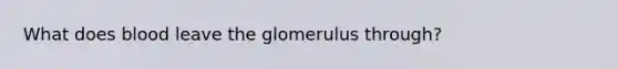 What does blood leave the glomerulus through?