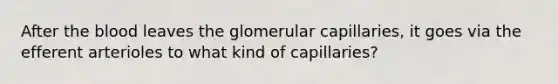 After the blood leaves the glomerular capillaries, it goes via the efferent arterioles to what kind of capillaries?