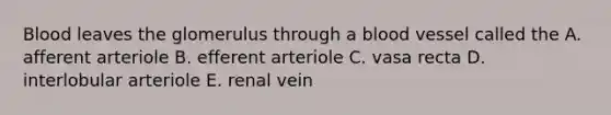 Blood leaves the glomerulus through a blood vessel called the A. afferent arteriole B. efferent arteriole C. vasa recta D. interlobular arteriole E. renal vein