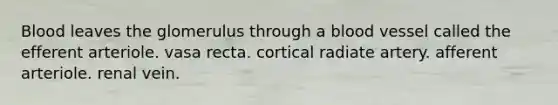 Blood leaves the glomerulus through a blood vessel called the efferent arteriole. vasa recta. cortical radiate artery. afferent arteriole. renal vein.