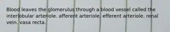 Blood leaves the glomerulus through a blood vessel called the interlobular arteriole. afferent arteriole. efferent arteriole. renal vein. vasa recta.