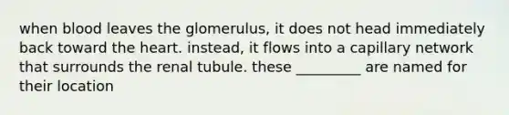 when blood leaves the glomerulus, it does not head immediately back toward the heart. instead, it flows into a capillary network that surrounds the renal tubule. these _________ are named for their location