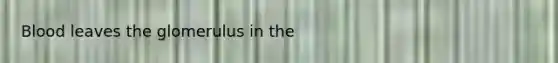 Blood leaves the glomerulus in the