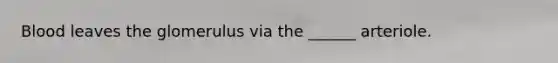 Blood leaves the glomerulus via the ______ arteriole.