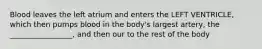 Blood leaves the left atrium and enters the LEFT VENTRICLE, which then pumps blood in the body's largest artery, the _________________, and then our to the rest of the body