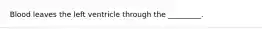 Blood leaves the left ventricle through the _________.