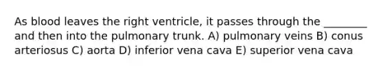 As blood leaves the right ventricle, it passes through the ________ and then into the pulmonary trunk. A) pulmonary veins B) conus arteriosus C) aorta D) inferior vena cava E) superior vena cava