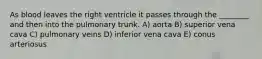 As blood leaves the right ventricle it passes through the ________ and then into the pulmonary trunk. A) aorta B) superior vena cava C) pulmonary veins D) inferior vena cava E) conus arteriosus