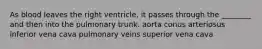 As blood leaves the right ventricle, it passes through the ________ and then into the pulmonary trunk. aorta conus arteriosus inferior vena cava pulmonary veins superior vena cava