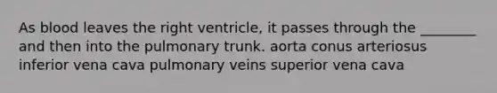 As blood leaves the right ventricle, it passes through the ________ and then into the pulmonary trunk. aorta conus arteriosus inferior vena cava pulmonary veins superior vena cava