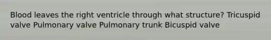 Blood leaves the right ventricle through what structure? Tricuspid valve Pulmonary valve Pulmonary trunk Bicuspid valve