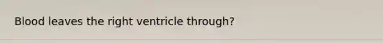 Blood leaves the right ventricle through?