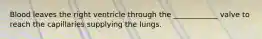 Blood leaves the right ventricle through the ____________ valve to reach the capillaries supplying the lungs.