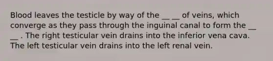 Blood leaves the testicle by way of the __ __ of veins, which converge as they pass through the inguinal canal to form the __ __ . The right testicular vein drains into the inferior vena cava. The left testicular vein drains into the left renal vein.