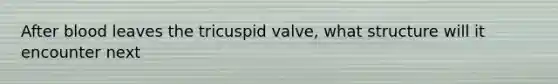 After blood leaves the tricuspid valve, what structure will it encounter next