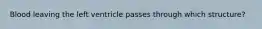 Blood leaving the left ventricle passes through which structure?