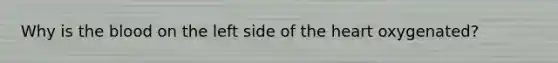 Why is the blood on the left side of the heart oxygenated?