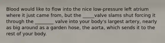 Blood would like to flow into the nice low-pressure left atrium where it just came from, but the _____valve slams shut forcing it through the ________ valve into your body's largest artery, nearly as big around as a garden hose, the aorta, which sends it to the rest of your body.