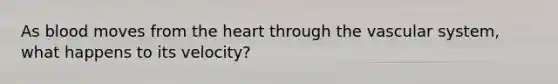 As blood moves from the heart through the vascular system, what happens to its velocity?