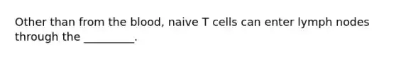 Other than from <a href='https://www.questionai.com/knowledge/k7oXMfj7lk-the-blood' class='anchor-knowledge'>the blood</a>, naive T cells can enter lymph nodes through the _________.