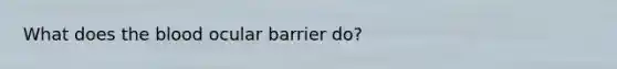 What does the blood ocular barrier do?