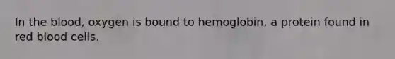 In the blood, oxygen is bound to hemoglobin, a protein found in red blood cells.