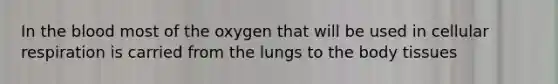 In the blood most of the oxygen that will be used in cellular respiration is carried from the lungs to the body tissues