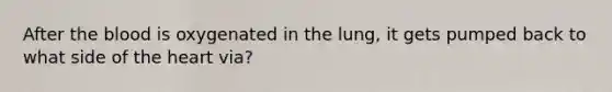 After <a href='https://www.questionai.com/knowledge/k7oXMfj7lk-the-blood' class='anchor-knowledge'>the blood</a> is oxygenated in the lung, it gets pumped back to what side of <a href='https://www.questionai.com/knowledge/kya8ocqc6o-the-heart' class='anchor-knowledge'>the heart</a> via?