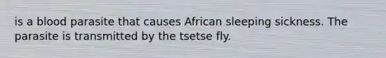 is a blood parasite that causes African sleeping sickness. The parasite is transmitted by the tsetse fly.