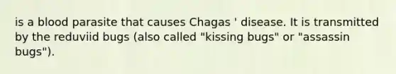 is a blood parasite that causes Chagas ' disease. It is transmitted by the reduviid bugs (also called "kissing bugs" or "assassin bugs").