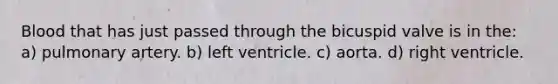 Blood that has just passed through the bicuspid valve is in the: a) pulmonary artery. b) left ventricle. c) aorta. d) right ventricle.