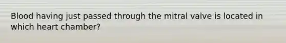 Blood having just passed through the mitral valve is located in which heart chamber?