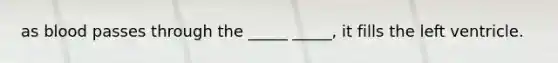 as blood passes through the _____ _____, it fills the left ventricle.