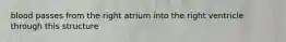 blood passes from the right atrium into the right ventricle through this structure