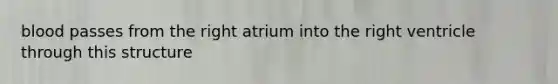 blood passes from the right atrium into the right ventricle through this structure