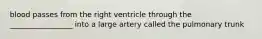 blood passes from the right ventricle through the _________________ into a large artery called the pulmonary trunk