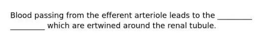 Blood passing from the efferent arteriole leads to the _________ _________ which are ertwined around the renal tubule.