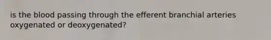 is the blood passing through the efferent branchial arteries oxygenated or deoxygenated?