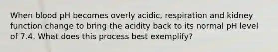 When blood pH becomes overly acidic, respiration and kidney function change to bring the acidity back to its normal pH level of 7.4. What does this process best exemplify?