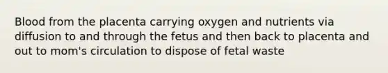 Blood from the placenta carrying oxygen and nutrients via diffusion to and through the fetus and then back to placenta and out to mom's circulation to dispose of fetal waste