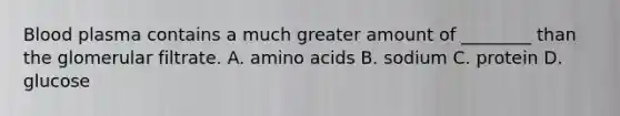 Blood plasma contains a much greater amount of ________ than the glomerular filtrate. A. amino acids B. sodium C. protein D. glucose