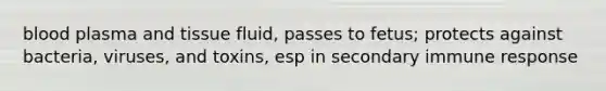 blood plasma and tissue fluid, passes to fetus; protects against bacteria, viruses, and toxins, esp in secondary immune response