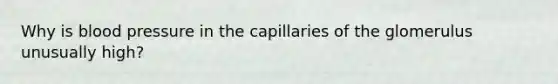 Why is blood pressure in the capillaries of the glomerulus unusually high?