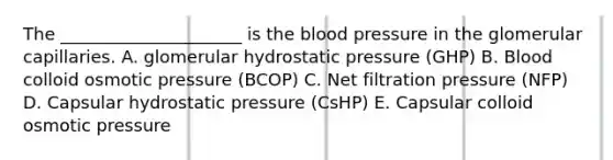 The _____________________ is the blood pressure in the glomerular capillaries. A. glomerular hydrostatic pressure (GHP) B. Blood colloid osmotic pressure (BCOP) C. Net filtration pressure (NFP) D. Capsular hydrostatic pressure (CsHP) E. Capsular colloid osmotic pressure