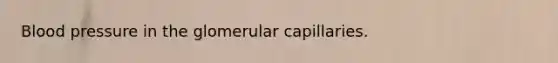 <a href='https://www.questionai.com/knowledge/kD0HacyPBr-blood-pressure' class='anchor-knowledge'>blood pressure</a> in the glomerular capillaries.
