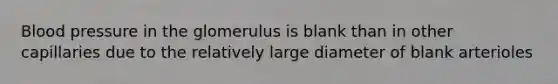 <a href='https://www.questionai.com/knowledge/kD0HacyPBr-blood-pressure' class='anchor-knowledge'>blood pressure</a> in the glomerulus is blank than in other capillaries due to the relatively large diameter of blank arterioles