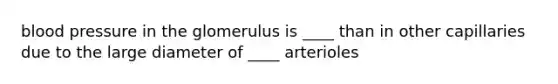 blood pressure in the glomerulus is ____ than in other capillaries due to the large diameter of ____ arterioles