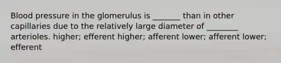 Blood pressure in the glomerulus is _______ than in other capillaries due to the relatively large diameter of ________ arterioles. higher; efferent higher; afferent lower; afferent lower; efferent