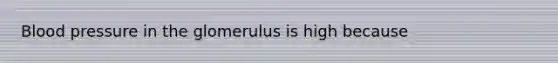 Blood pressure in the glomerulus is high because