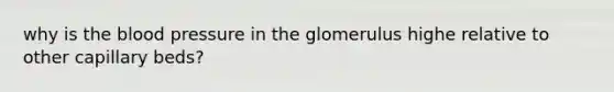 why is the blood pressure in the glomerulus highe relative to other capillary beds?